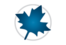 Maplesoft Maple数学工程计算软件特别版